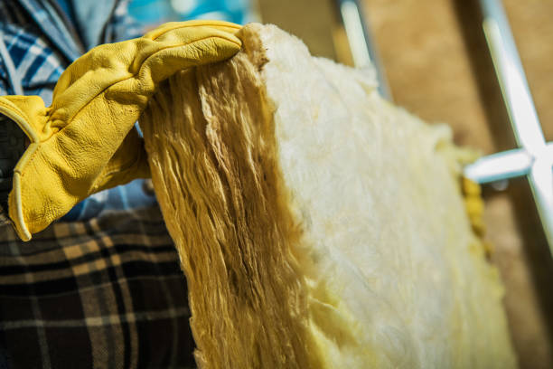 Best Specialized Insulation Services in Salem, WV